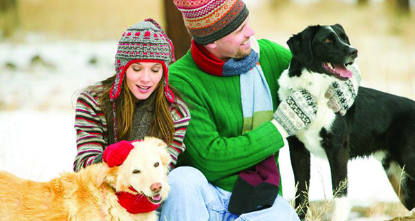 Walpole Winter Craft Fair Walpole Winter Craft Fair