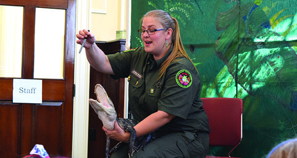 When the sharpie lid touched the roof of Fluffy’s mouth, his jaw shut like a mouse trap. According to Bryan, crocodilians have sensors on the roof of their mouths and tongues that activate this reflex. Until something touches a sensor on the roof of the mouth or tongue of a crocodilian, its jaw will remain open. Photos by Christina Perrone