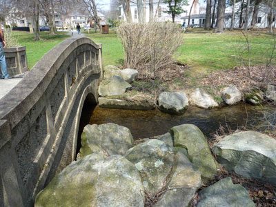 Designed by a student of Frederick Law Olmsted, Bird Park is still a feast for the eyes nearly 100 years after its construction.