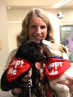 Puppies, Lucy and Frank, show their love for Forever Home Rescue New England director, Joanna Wilkinson, after meeting prospective adopters.