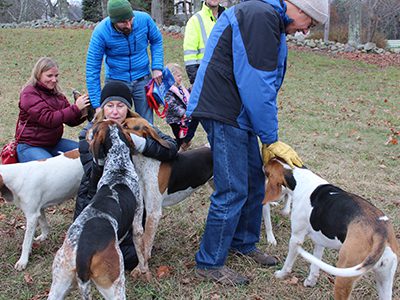 During one of their journey’s breaks, the American Foxhounds from the Norfolk Hunt Club greet spectators with wagging tails. Photos by Laura Drinan