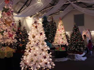 Seventy-five Christmas trees took up residence in Elm Bank’s Hunnewell Building for the annual Festival of Trees.