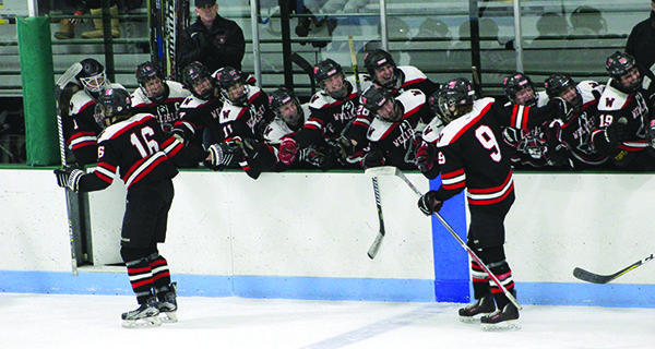 Joe (9) and Mike (16) Siemering celebrate with teammates at the bench following Wellesley’s game-opening goal just 2:29 in. Photos by Michael Flanagan