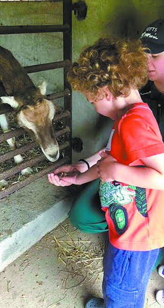 Barnyard Educator Maggie Gallagher teaches participants to feed the goats properly by holding their hand out flat. Photos by Rachel Gore