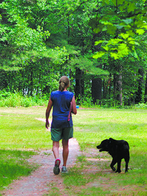 There are many walking trails around Morses Pond that provide shade and great views of the water. Photos by Daniel Curtin