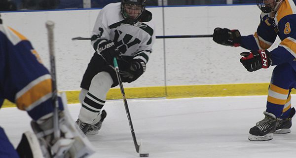 Senior forward Matt Hetnik (3) fights off a stick check and cuts towards the cage for a scoring chance. Photos by Michael Flanagan
