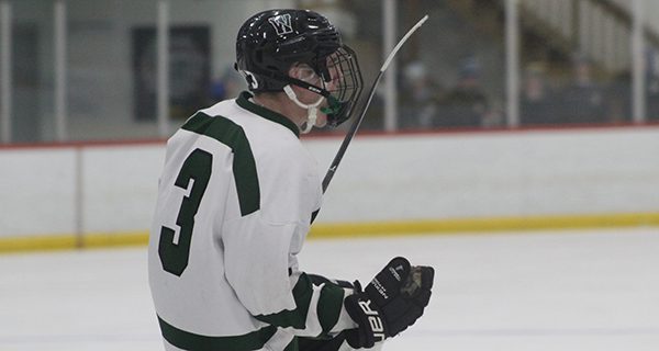 Senior forward Matt Hetnik (3) celebrates his go-ahead and would-be game-winning goal late in the second period of Tuesday’s 3-2 South semifinal final win against rival Medfield. Photos by Michael Flanagan