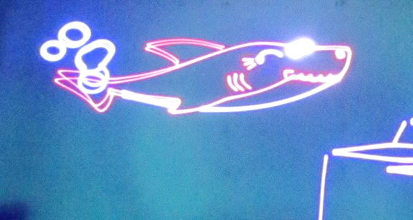 The laser version of the popular ‘Baby Shark’ song had everyone clapping along. Photos by Amelia Tarallo