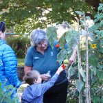 Mass Hort hosting summer family programs