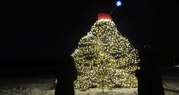 The hay bale tree lit up the grounds of Powisset.